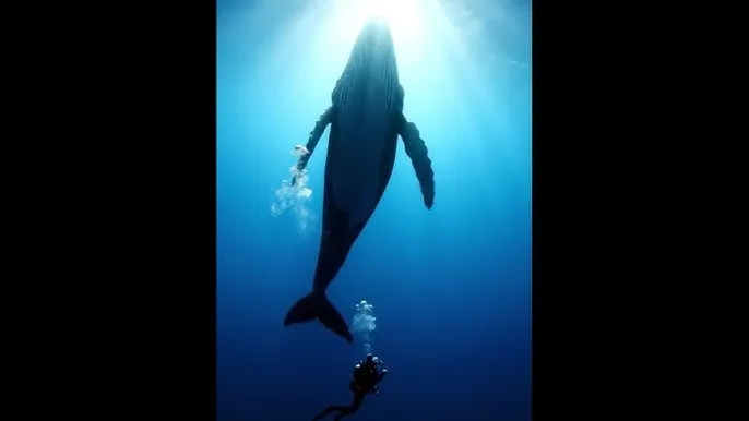 口袋妖怪黑2金手指 - 深蓝星球：探索海洋深处的未知世界